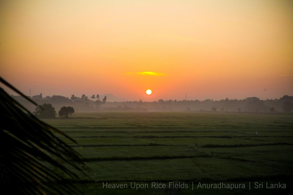 Bed and Breakfast Heaven Upon Rice Fields Анурадхапура Экстерьер фото