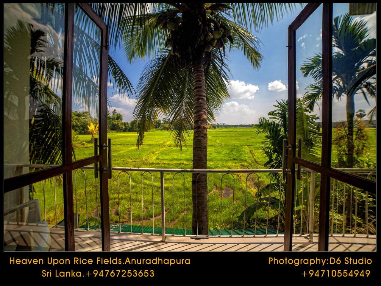Bed and Breakfast Heaven Upon Rice Fields Анурадхапура Экстерьер фото