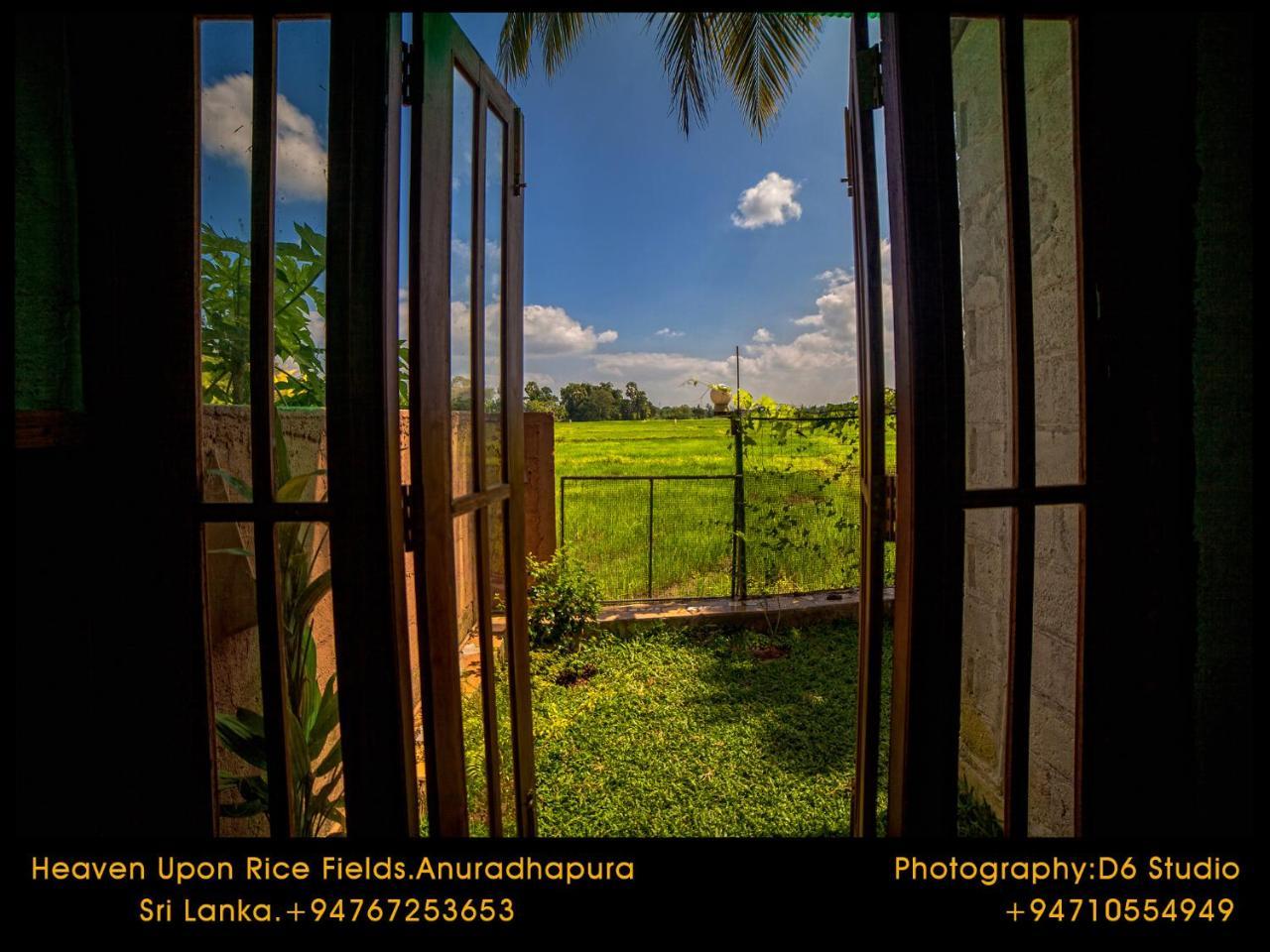 Bed and Breakfast Heaven Upon Rice Fields Анурадхапура Экстерьер фото