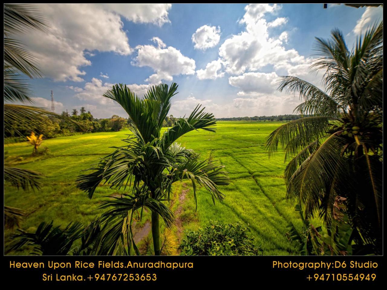 Bed and Breakfast Heaven Upon Rice Fields Анурадхапура Экстерьер фото