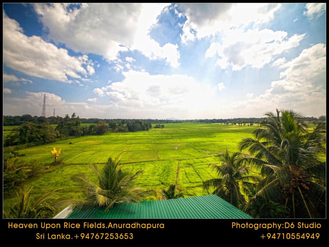 Bed and Breakfast Heaven Upon Rice Fields Анурадхапура Экстерьер фото