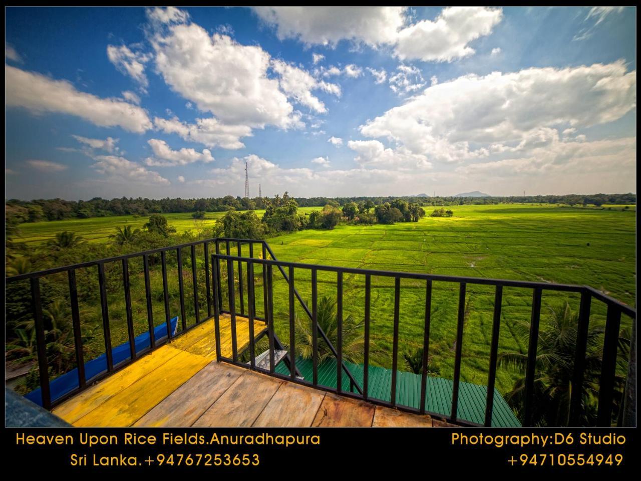 Bed and Breakfast Heaven Upon Rice Fields Анурадхапура Экстерьер фото